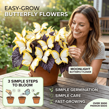 🌸 Moonlight Butterfly Flower Seeds (100 capsules)