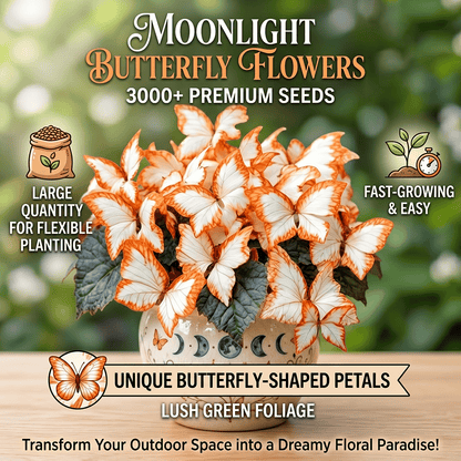 🌸 Moonlight Butterfly Flower Seeds (100 capsules)