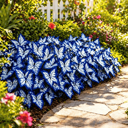 🌸 Moonlight Butterfly Flower Seeds (100 capsules)