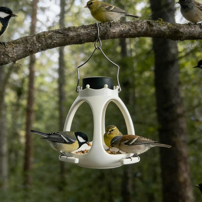 Solar Crown Bird Feeder