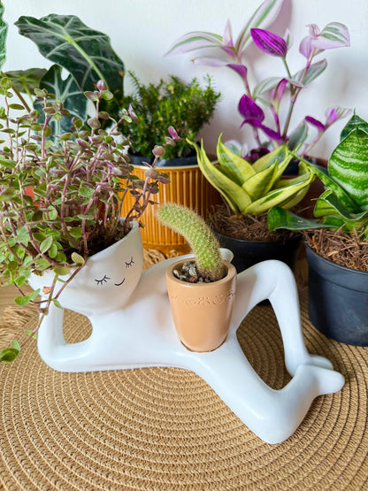 Handmade Plant Pot