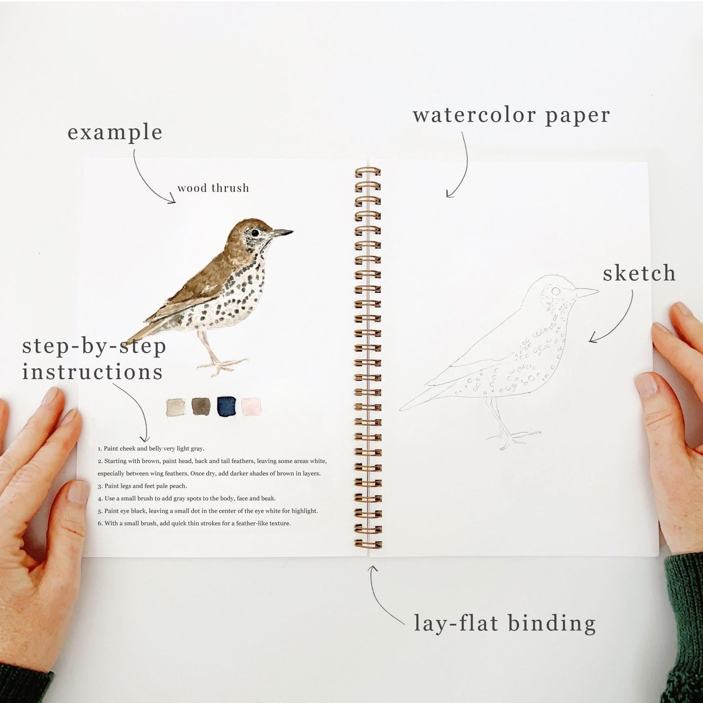 🎁Cozy Slow Watercolor Workbook Art Practice Set