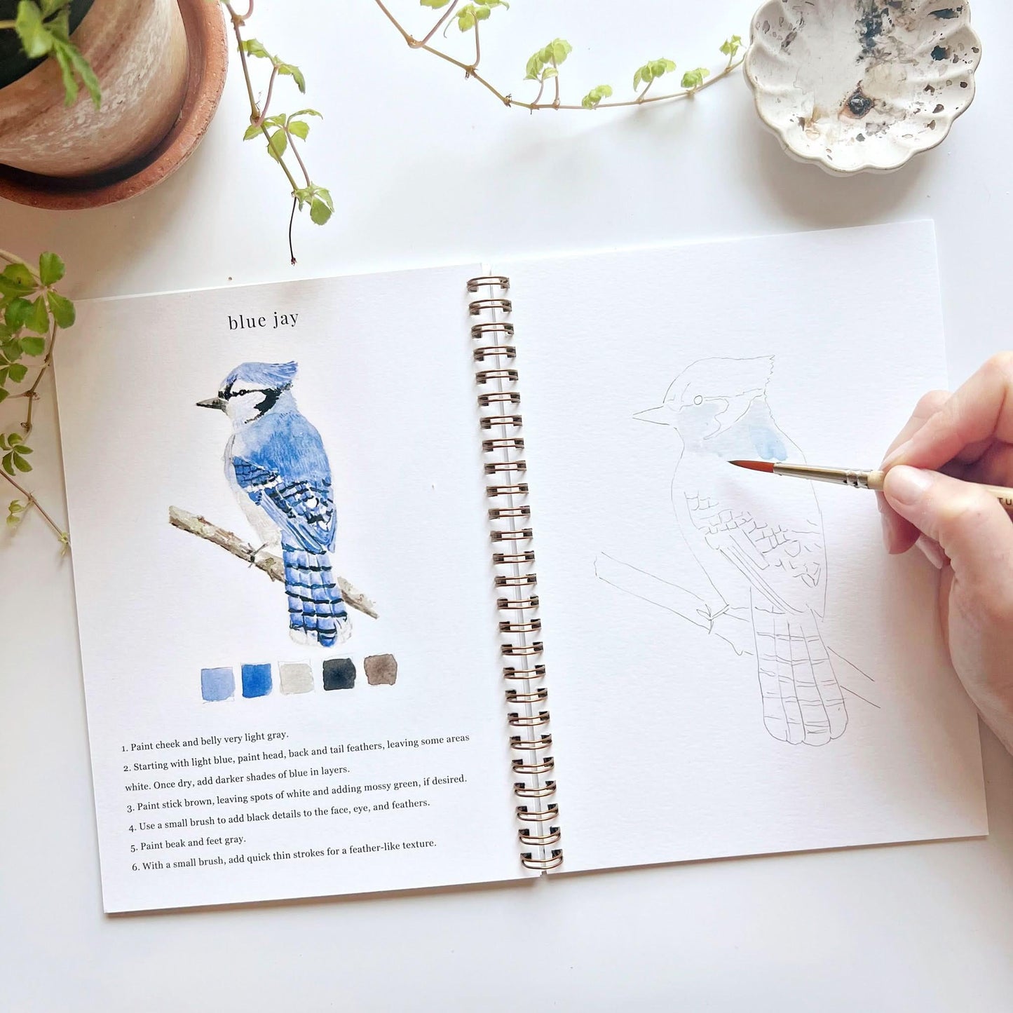 🎁Cozy Slow Watercolor Workbook Art Practice Set
